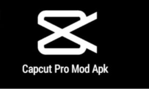 Capcut Mod Apk Premium Version